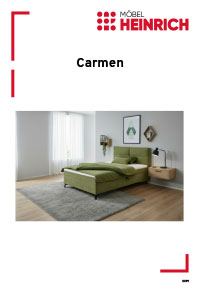 Dokumenten Cover für Typenplan
