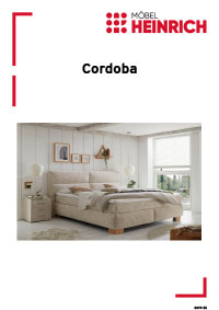 Dokumenten Cover für Typenplan