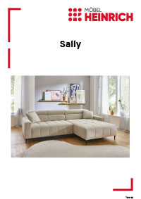 Dokumenten Cover für Typenplan