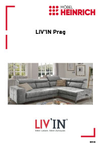 Dokumenten Cover für Typenplan